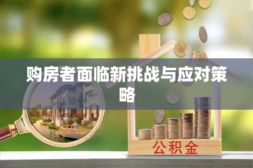 儋州购房者面临新挑战与应对策略