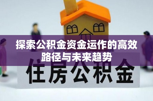 儋州探索公积金资金运作的高效路径与未来趋势