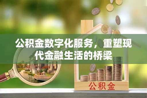 儋州公积金数字化服务，重塑现代金融生活的桥梁