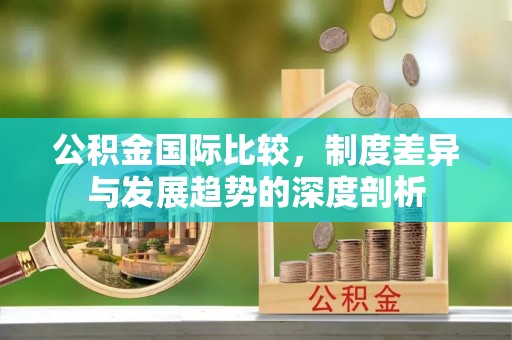 儋州公积金国际比较，制度差异与发展趋势的深度剖析