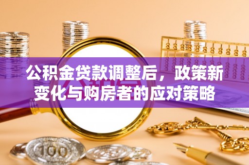 儋州公积金贷款调整后，政策新变化与购房者的应对策略