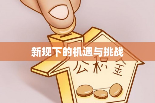 儋州新规下的机遇与挑战