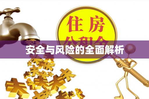 儋州安全与风险的全面解析