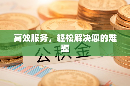 儋州高效服务，轻松解决您的难题