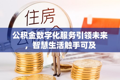 儋州公积金数字化服务引领未来，智慧生活触手可及
