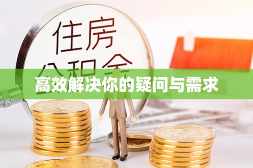 儋州高效解决你的疑问与需求
