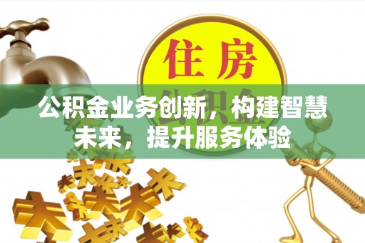 儋州公积金业务创新，构建智慧未来，提升服务体验