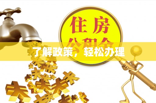 儋州了解政策，轻松办理