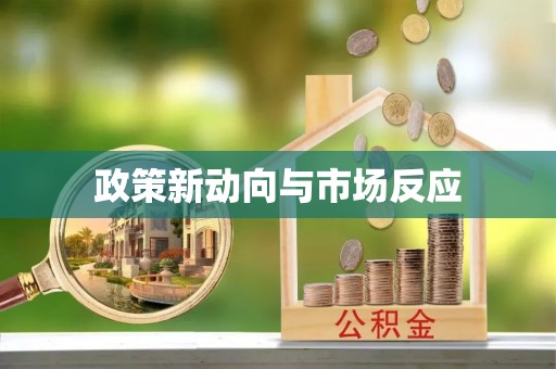 儋州政策新动向与市场反应