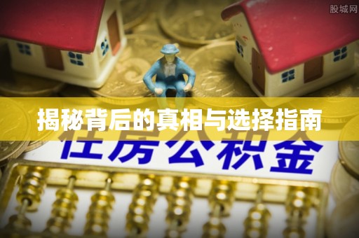 儋州揭秘背后的真相与选择指南
