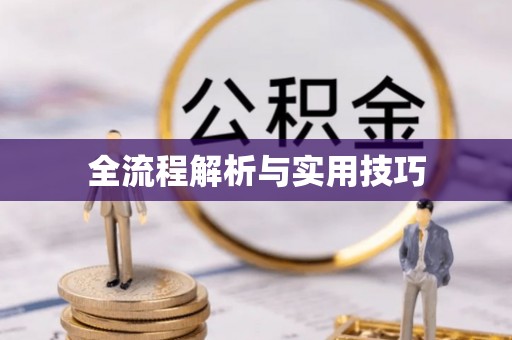 儋州全流程解析与实用技巧