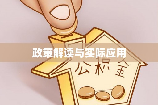 儋州政策解读与实际应用