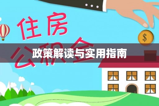 儋州政策解读与实用指南