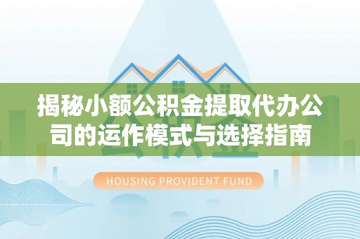 儋州揭秘小额公积金提取代办公司的运作模式与选择指南
