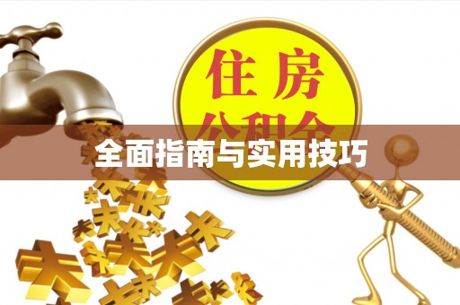 儋州全面指南与实用技巧