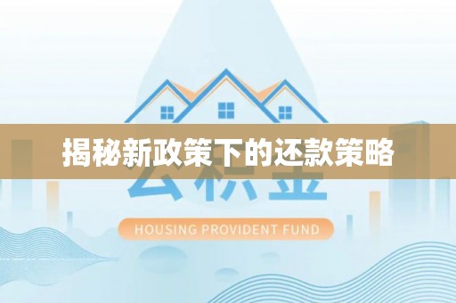 儋州揭秘新政策下的还款策略