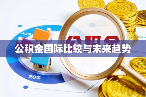 儋州公积金国际比较与未来趋势