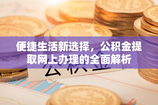 儋州便捷生活新选择，公积金提取网上办理的全面解析