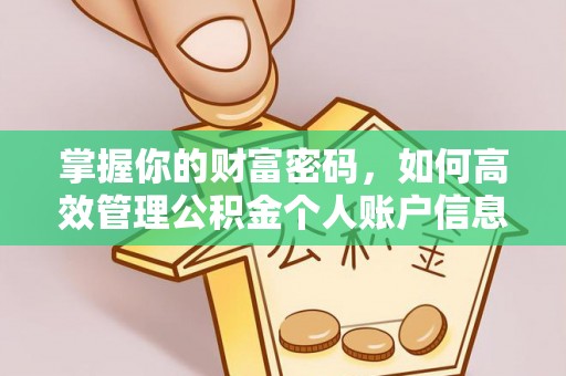 儋州掌握你的财富密码，如何高效管理公积金个人账户信息
