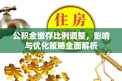 儋州公积金缴存比例调整，影响与优化策略全面解析
