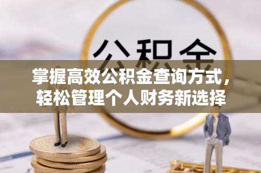 儋州掌握高效公积金查询方式，轻松管理个人财务新选择