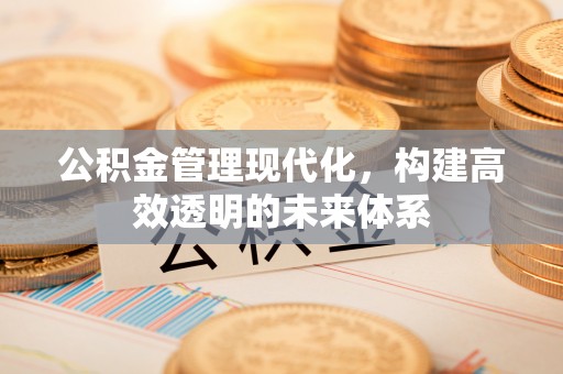 儋州公积金管理现代化，构建高效透明的未来体系