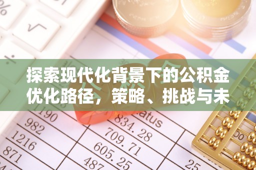 儋州探索现代化背景下的公积金优化路径，策略、挑战与未来展望