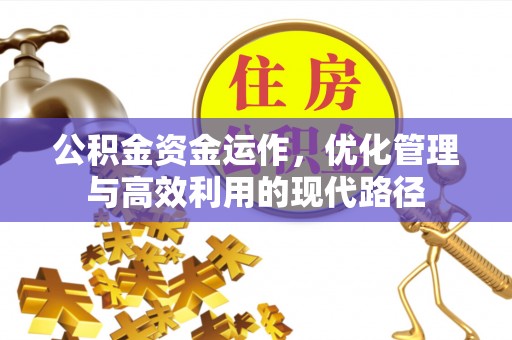儋州公积金资金运作，优化管理与高效利用的现代路径