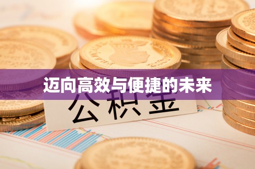 儋州迈向高效与便捷的未来
