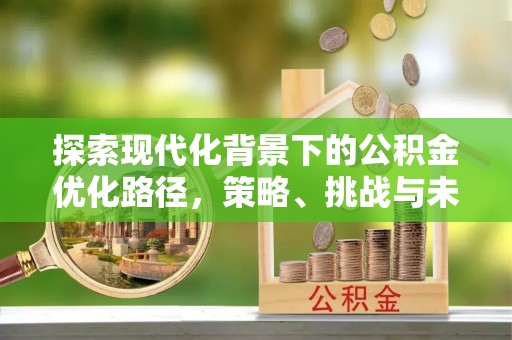 儋州探索现代化背景下的公积金优化路径，策略、挑战与未来展望