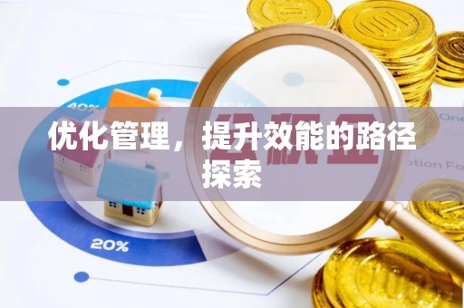 儋州优化管理，提升效能的路径探索