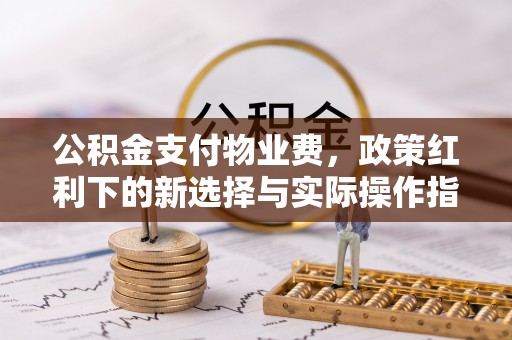 儋州公积金支付物业费，政策红利下的新选择与实际操作指南