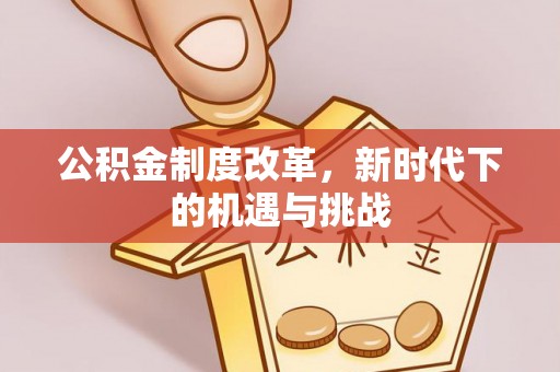 儋州公积金制度改革，新时代下的机遇与挑战