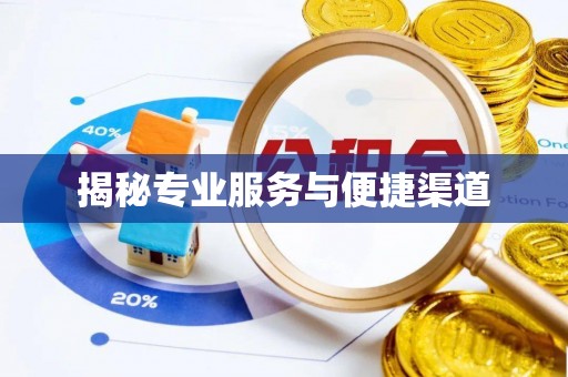 儋州揭秘专业服务与便捷渠道
