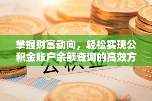 儋州掌握财富动向，轻松实现公积金账户余额查询的高效方式