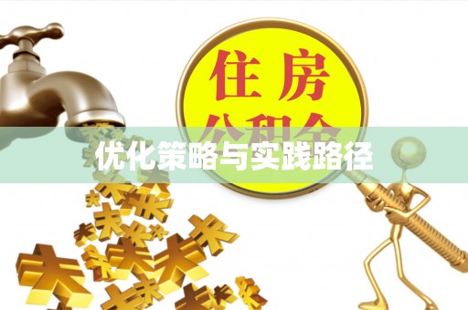 儋州优化策略与实践路径