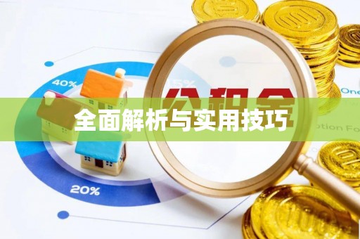 儋州全面解析与实用技巧