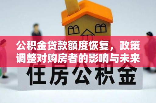 儋州公积金贷款额度恢复，政策调整对购房者的影响与未来展望