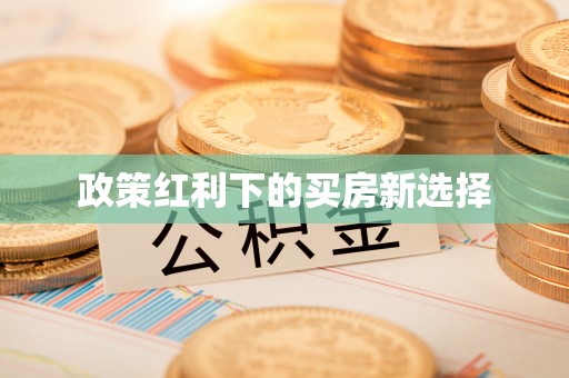 儋州政策红利下的买房新选择