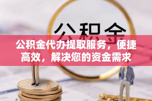 儋州公积金代办提取服务，便捷高效，解决您的资金需求