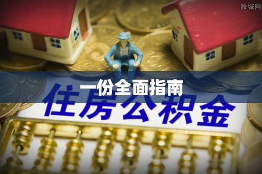 儋州一份全面指南