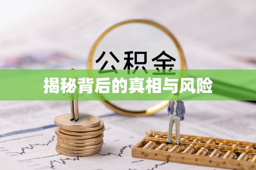 儋州揭秘背后的真相与风险