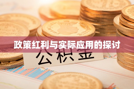 儋州政策红利与实际应用的探讨