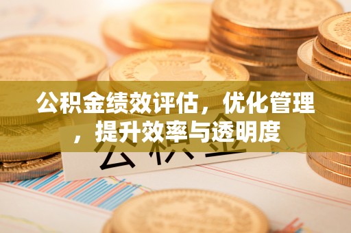 儋州公积金绩效评估，优化管理，提升效率与透明度