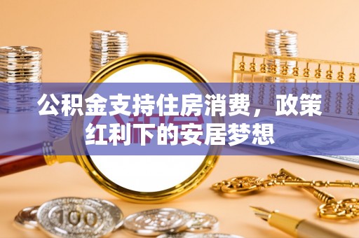 儋州公积金支持住房消费，政策红利下的安居梦想