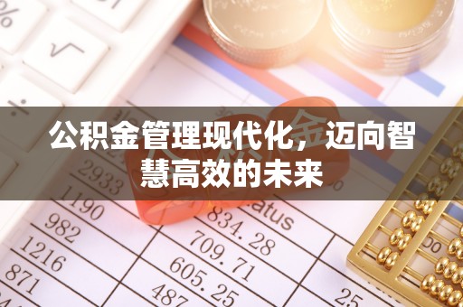 儋州公积金管理现代化，迈向智慧高效的未来