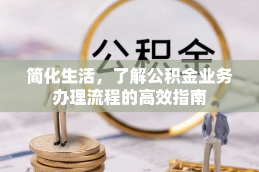 儋州简化生活，了解公积金业务办理流程的高效指南