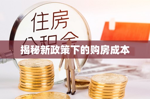 儋州揭秘新政策下的购房成本