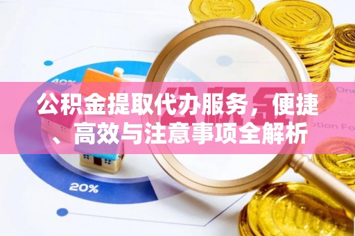 儋州公积金提取代办服务，便捷、高效与注意事项全解析