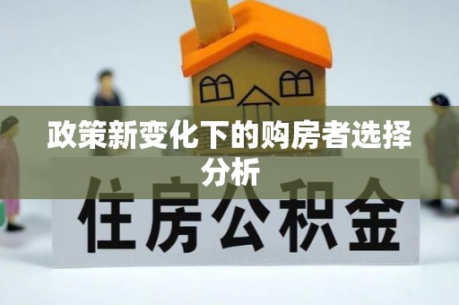 儋州政策新变化下的购房者选择分析